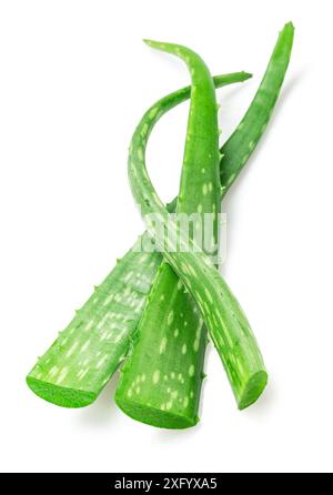 Coupes fraîches de feuilles d'aloe Vera isolées sur fond blanc. Banque D'Images