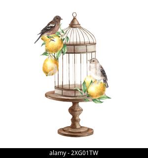 Oiseaux bruns, citrons jaunes avec des feuilles, cage en bronze avec support. Illustration aquarelle isolée dans le style vintage. Composition artisanale pour l'intérieur, Banque D'Images