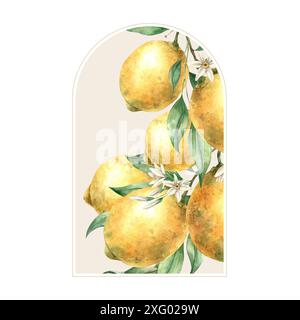 Branche avec des citrons jaunes, des fleurs et des feuilles dans un cadre beige antique. Illustration aquarelle isolée dans le style vintage. Composition à la main pour d Banque D'Images