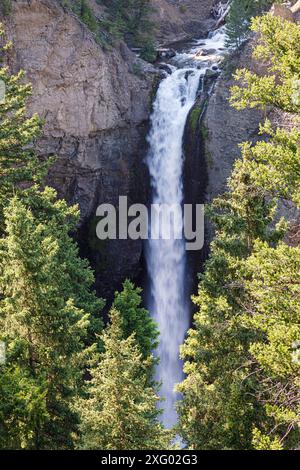 Tower Fall, Tower Creek, parc national de Yellowstone, Wyoming, États-Unis Banque D'Images