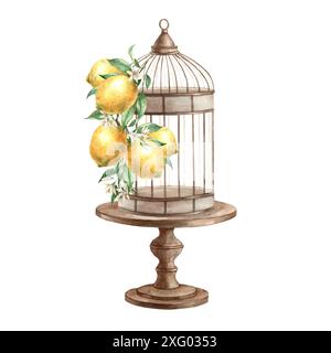 Arrangement d'une cage à oiseaux en métal antique debout sur un support avec une branche de citrons jaunes. Dessin aquarelle isolé dans un style vintage. Dessin pour Banque D'Images