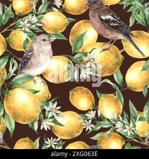 Modèle sans couture de branches de citron jaune, de feuilles et de fleurs avec des oiseaux assis sur un fond brun. Dessin aquarelle dans un style réaliste. Motif Banque D'Images