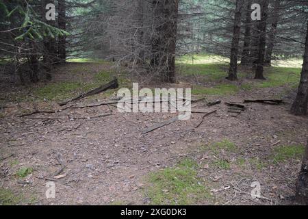 Les vieilles fondations en bois sont tout ce qui reste de cette ville abandonnée de la ruée vers l'or du Klondike de Dyea, en Alaska, située à la tête du Chilkoot Pass Trail. Banque D'Images