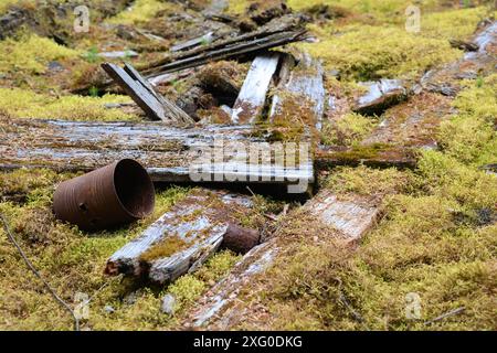 Vieilles planches de bois et boîte de fer blanc rouillé dans la ville fantôme abandonnée de la ruée vers l'or du Klondike de Dyea, en Alaska, située à la tête du sentier Chilkoot Pass. Banque D'Images