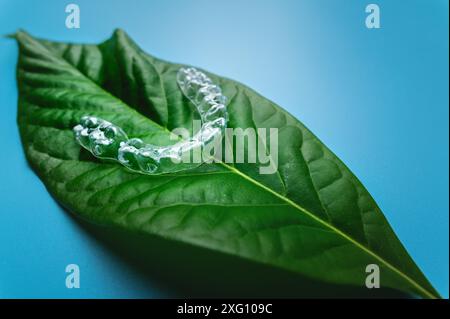 Bagues amovibles modernes invisibles ou aligneurs pour les dents sur un fond bleu avec des feuilles vertes Banque D'Images