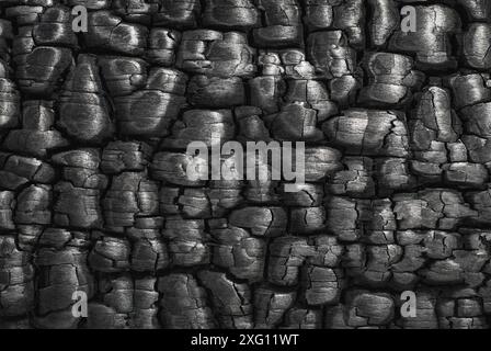 Arrière-plan de texture de charbon de bois, gros plan de surface de bois brûlé Banque D'Images