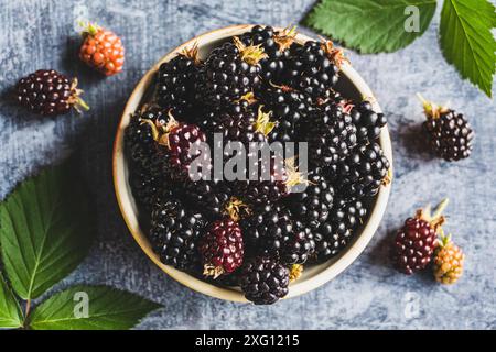 Fruits mûrs dans un bol, fond de nourriture, mûres mûres mûres de gros plan Banque D'Images