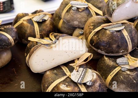 Fromage de buffle catalan, Macaners, Bergueda, Catalogne, chaîne de montagnes pyrénéennes, Espagne Banque D'Images