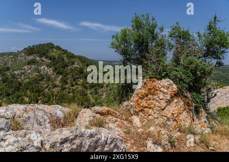 Sierra de Galdent, Llucmajor, Majorque, Iles Baléares, Espagne Banque D'Images