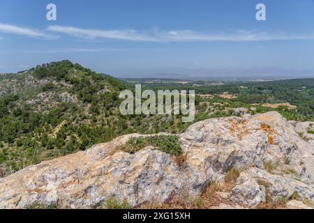 Sierra de Galdent, Llucmajor, Majorque, Iles Baléares, Espagne Banque D'Images