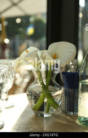 Belles fleurs de lis calla dans un vase en verre sur une table en bois à l'intérieur, gros plan Banque D'Images