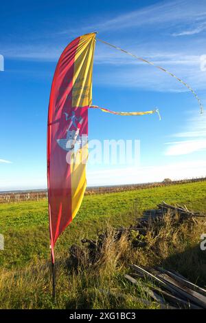 Brandissant le drapeau du Burgenland, état d'Autriche sur le mât du drapeau. Modèle pour le jour de l'indépendance Banque D'Images