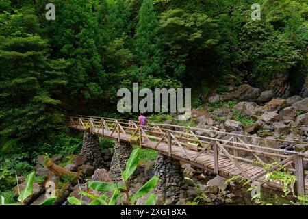 Une forêt avec un vieux pont en bois menant sur des rochers pierreux, entouré d'un feuillage vert dense, Grena Park, Furnas, George Hayes, Lagoa das Furnas Banque D'Images