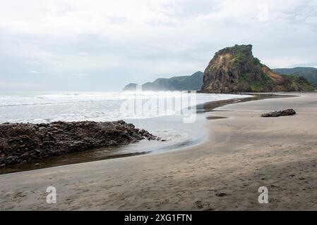 Lion Rock sur Piha Beach - Nouvelle-Zélande Banque D'Images