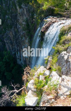 Minyon Falls dans la forêt tropicale pittoresque du parc national de Nightcaps, Australie. Banque D'Images