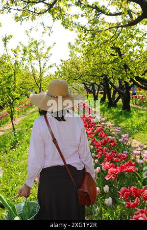 femme avec chapeau de paille et un seau marche à travers les tulipes au printemps Banque D'Images