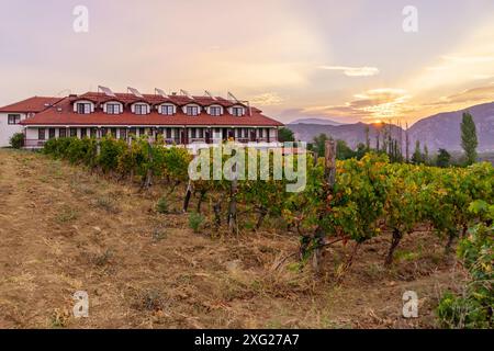 Vue lever du soleil sur les vignobles et les montagnes, près de Demir Kapija, Macédoine du Nord Banque D'Images