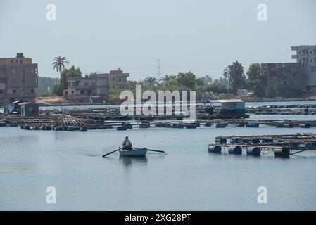 Rasheed, Égypte. 27 juin 2024. Un batelier égyptien traverse le Nil en chemin devant des fermes piscicoles dans la ville de Rashid ou Rosetta, dans le delta du Nil. Rosetta connue localement sous le nom de Rashid est une ville portuaire du delta du Nil, la pierre de Rosetta y a été découverte en 1799. (Crédit image : © John Wreford/SOPA images via ZUMA Press Wire) USAGE ÉDITORIAL SEULEMENT! Non destiné à UN USAGE commercial ! Banque D'Images