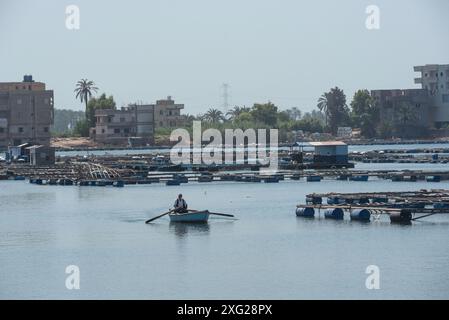 Rasheed, Égypte. 27 juin 2024. Un batelier égyptien traverse le Nil en chemin devant des fermes piscicoles dans la ville de Rashid ou Rosetta, dans le delta du Nil. Rosetta connue localement sous le nom de Rashid est une ville portuaire du delta du Nil, la pierre de Rosetta y a été découverte en 1799. (Photo de John Wreford/SOPA images/SIPA USA) crédit : SIPA USA/Alamy Live News Banque D'Images