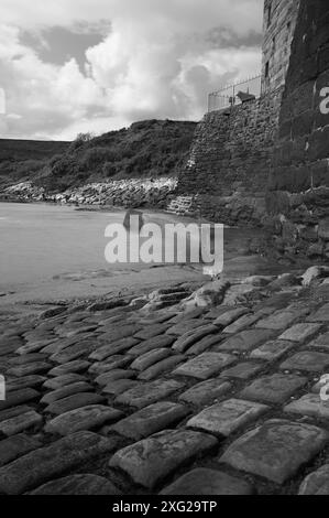 Image monochrome en noir et blanc de la vue basse de la cale pavée dans la mer à robin Hoops Bay dans le yorkshire en utilisant une longue exposition pour brouiller le mouvement des vagues Banque D'Images