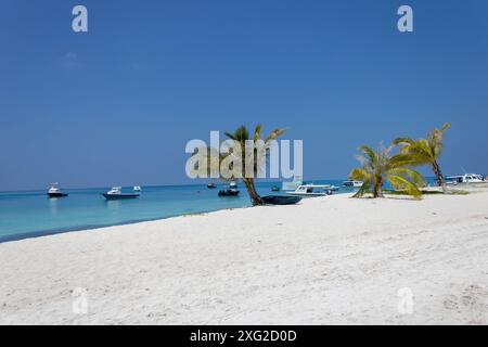 Une plage sur l'île de Fulidhoo avec des bateaux amarrés, Maldives Banque D'Images