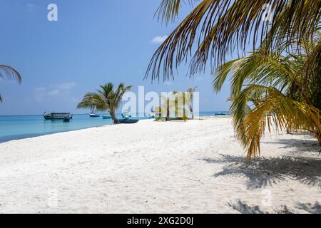 Une plage sur l'île de Fulidhoo avec des bateaux amarrés, Maldives Banque D'Images