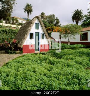 Maison au toit de chaume typique dans le Jardin botanique de Funchal. L'île de Madère. Le Portugal. Banque D'Images