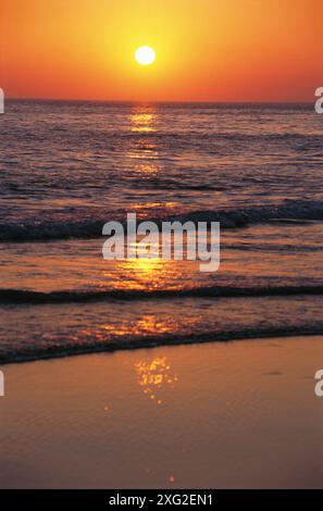 Coucher de soleil sur la plage la Barrosa. Chiclana de la Frontera. Espagne Banque D'Images