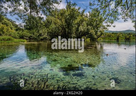 Le lac Posta Fibreno est situé dans la vallée de Comino. En plus de sa faune endémique, le lac est connu pour la présence d'un isl flottant naturel Banque D'Images