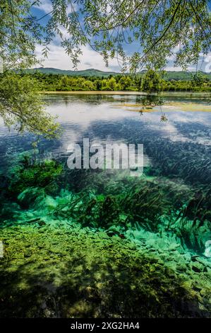 Le lac Posta Fibreno est situé dans la vallée de Comino. En plus de sa faune endémique, le lac est connu pour la présence d'un isl flottant naturel Banque D'Images