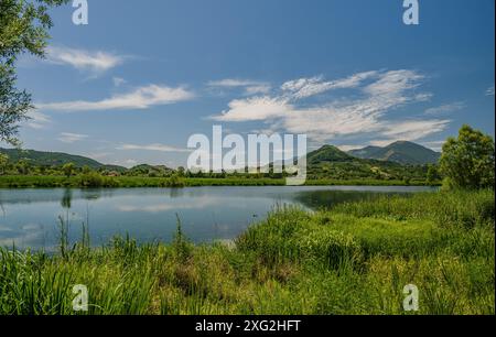 Le lac Posta Fibreno est situé dans la vallée de Comino. En plus de sa faune endémique, le lac est connu pour la présence d'un isl flottant naturel Banque D'Images