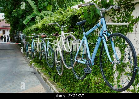 Bangkok Thaïlande. De nombreux vélos ornent les murs du marché de Tha Chang Wang Luang, décoration, excentrique. Artistique. Recyclé. Réaffecté. Banque D'Images