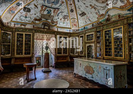 Trisulti Charterhouse est un monastère situé dans la municipalité de Collepardo, dans la province de Frosinone. Il est reconnu monument national Banque D'Images