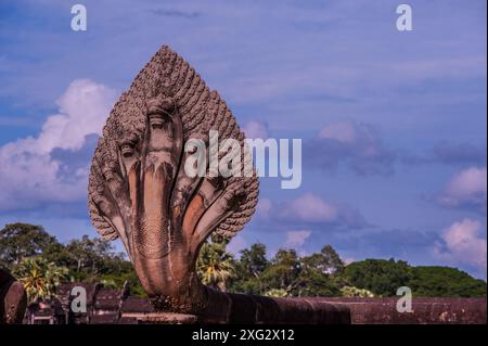Statue de Naga à l'entrée ouest d'Angkor Wat. Parc archéologique d'Angkor, province de Siem Reap, Cambodge. 24 août 2020. © Kraig Lieb Banque D'Images