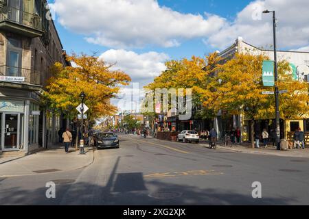 Montréal, Québec, Canada - 10 octobre 2022 : vue sur la rue de la ville de Montréal. Avenue Mont-Royal, rue Saint-André. Banque D'Images