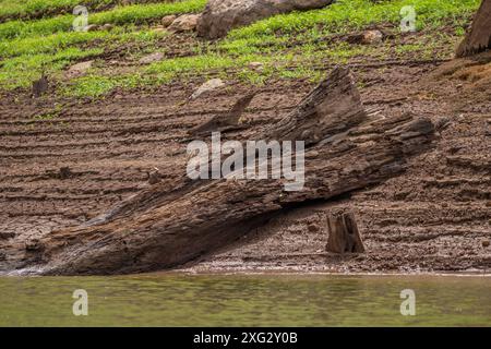 Barrage de Khun Dan Banque D'Images