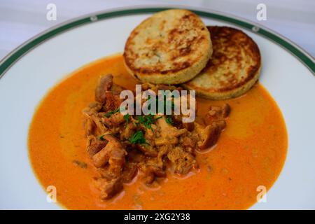 Chanterelle Goulash ou Eierschwammerlgulasch avec boulettes de pain frites Banque D'Images