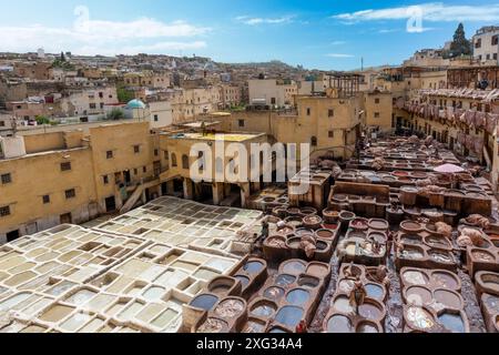 Fès, Maroc - 23 mars 2024 : une tannerie traditionnelle en cuir avec des récipients remplis de teinture, mettant en valeur le processus unique et inoubliable du cuir souple Banque D'Images