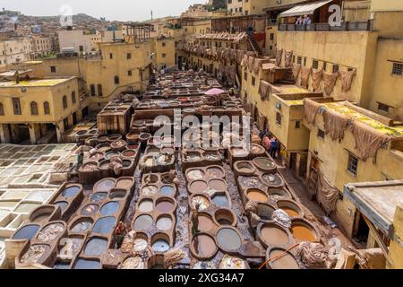 Fès, Maroc - 23 mars 2024 : une tannerie traditionnelle en cuir avec des récipients remplis de teinture, mettant en valeur le processus unique et inoubliable du cuir souple Banque D'Images