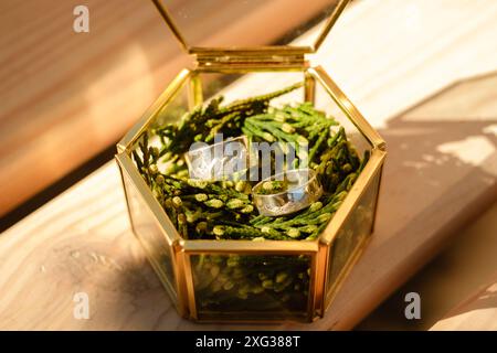 Belle photo avec des anneaux de mariage en argent appariés faits à la main couchés sur des aiguilles de pin dans une boîte en verre Banque D'Images