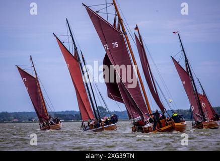 Wustrow, Allemagne. 06 juillet 2024. Zeesboats, jusqu'à 12 mètres de long, des bateaux à épée stables de l'époque de la pêche à la voile avec les voiles brunes typiques, naviguent à la 38e Wustrower Zeesbootregatta sur le Saaler Bodden entre le continent et la péninsule de Fischland-Darss-Zingt. La régate se déroule en trois classes de bateaux dans des vents forts et des vagues. Crédit : Jens Büttner/dpa/Alamy Live News Banque D'Images