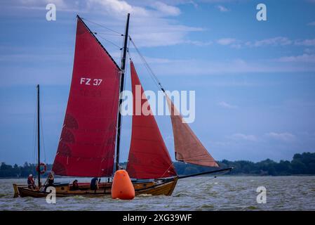 Wustrow, Allemagne. 06 juillet 2024. Zeesboats, jusqu'à 12 mètres de long, des bateaux à épée stables de l'époque de la pêche à la voile avec les voiles brunes typiques, naviguent à la 38e Wustrower Zeesbootregatta sur le Saaler Bodden entre le continent et la péninsule de Fischland-Darss-Zingt. La régate se déroule en trois classes de bateaux dans des vents forts et des vagues. Crédit : Jens Büttner/dpa/Alamy Live News Banque D'Images