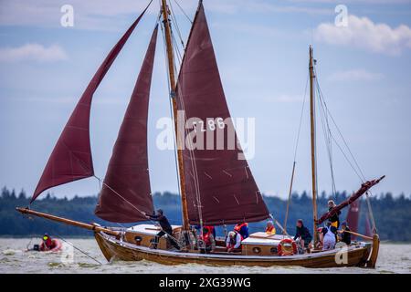 Wustrow, Allemagne. 06 juillet 2024. Zeesboats, jusqu'à 12 mètres de long, des bateaux à épée stables de l'époque de la pêche à la voile avec les voiles brunes typiques, naviguent à la 38e Wustrower Zeesbootregatta sur le Saaler Bodden entre le continent et la péninsule de Fischland-Darss-Zingt. La régate se déroule en trois classes de bateaux dans des vents forts et des vagues. Crédit : Jens Büttner/dpa/Alamy Live News Banque D'Images