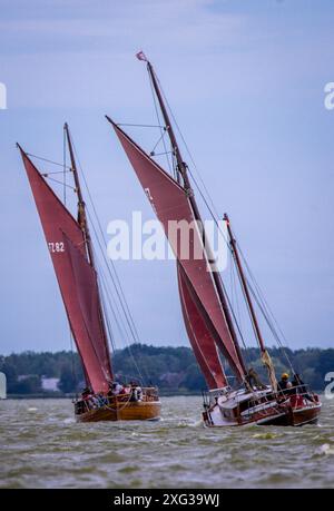 Wustrow, Allemagne. 06 juillet 2024. Zeesboats, jusqu'à 12 mètres de long, des bateaux à épée stables de l'époque de la pêche à la voile avec les voiles brunes typiques, naviguent à la 38e Wustrower Zeesbootregatta sur le Saaler Bodden entre le continent et la péninsule de Fischland-Darss-Zingt. La régate se déroule en trois classes de bateaux dans des vents forts et des vagues. Crédit : Jens Büttner/dpa/Alamy Live News Banque D'Images