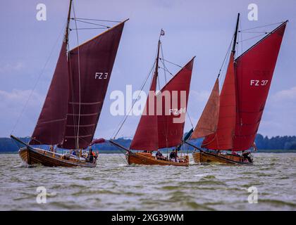 Wustrow, Allemagne. 06 juillet 2024. Zeesboats, jusqu'à 12 mètres de long, des bateaux à épée stables de l'époque de la pêche à la voile avec les voiles brunes typiques, naviguent à la 38e Wustrower Zeesbootregatta sur le Saaler Bodden entre le continent et la péninsule de Fischland-Darss-Zingt. La régate se déroule en trois classes de bateaux dans des vents forts et des vagues. Crédit : Jens Büttner/dpa/Alamy Live News Banque D'Images