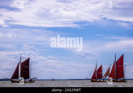 Wustrow, Allemagne. 06 juillet 2024. Zeesboats, jusqu'à 12 mètres de long, des bateaux à épée stables de l'époque de la pêche à la voile avec les voiles brunes typiques, naviguent à la 38e Wustrower Zeesbootregatta sur le Saaler Bodden entre le continent et la péninsule de Fischland-Darss-Zingt. La régate se déroule en trois classes de bateaux dans des vents forts et des vagues. Crédit : Jens Büttner/dpa/Alamy Live News Banque D'Images