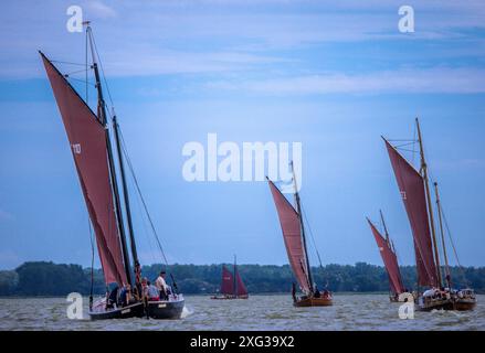 Wustrow, Allemagne. 06 juillet 2024. Zeesboats, jusqu'à 12 mètres de long, des bateaux à épée stables de l'époque de la pêche à la voile avec les voiles brunes typiques, naviguent à la 38e Wustrower Zeesbootregatta sur le Saaler Bodden entre le continent et la péninsule de Fischland-Darss-Zingt. La régate se déroule en trois classes de bateaux dans des vents forts et des vagues. Crédit : Jens Büttner/dpa/Alamy Live News Banque D'Images