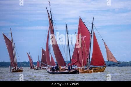 Wustrow, Allemagne. 06 juillet 2024. Zeesboats, jusqu'à 12 mètres de long, des bateaux à épée stables de l'époque de la pêche à la voile avec les voiles brunes typiques, naviguent à la 38e Wustrower Zeesbootregatta sur le Saaler Bodden entre le continent et la péninsule de Fischland-Darss-Zingt. La régate se déroule en trois classes de bateaux dans des vents forts et des vagues. Crédit : Jens Büttner/dpa/Alamy Live News Banque D'Images