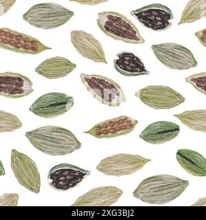 Cardamome pods motif sans couture en aquarelle isolé sur blanc, dessiné à la main dans un style simple pour la conception. Gousses vertes avec texture détaillée, certaines ouvertes à Banque D'Images