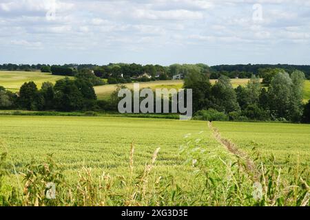 Vue sur la campagne de l'Essex depuis le cimetière de Great Maplestead Banque D'Images